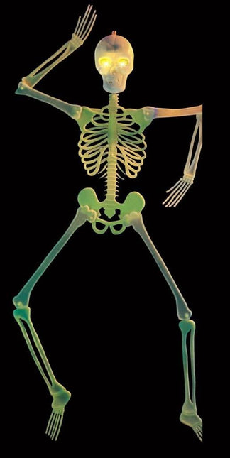 Halloweenaccessoires 3d skelet decoratie met knipperende ogen