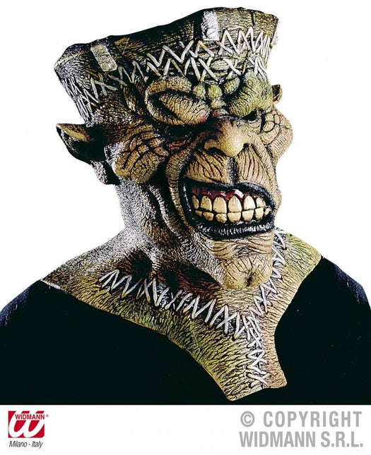 Halloweenaccessoires groot masker Ugly Frankenstein