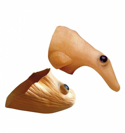 Halloweenaccessoires heksenneus met kin