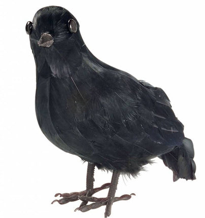 Halloweenaccessoires: Kraai