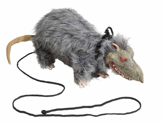 Halloweenaccessoires: Laat je rat uit