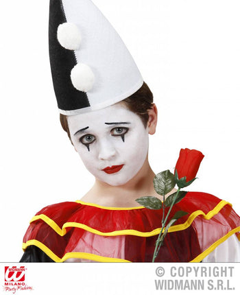 Halloweenaccessoires make-up set zwart en wit