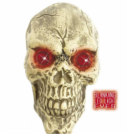 Halloweenaccessoires: Schedel 25 cm