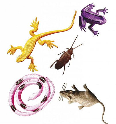 Halloweenaccessoires: Set van 12 griezel dieren