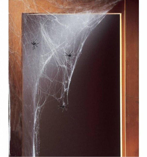 Halloweenaccessoires: Setje met 20 "luxe" spinnen