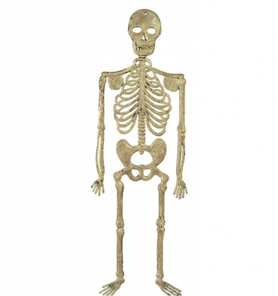 Halloweenaccessoires skelet 32cm