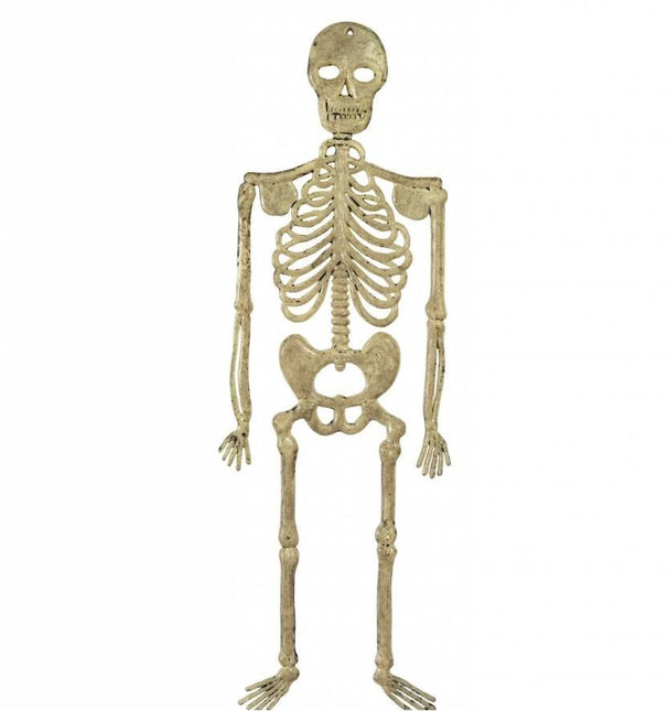 Halloweenaccessoires skelet 32cm