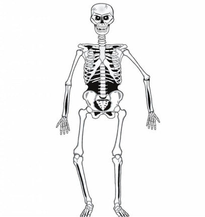 Halloweenaccessoires skelet decoratiecm