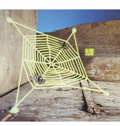 Halloweenaccessoires spinnenweb met 2 spinnen lichtgevend in donker