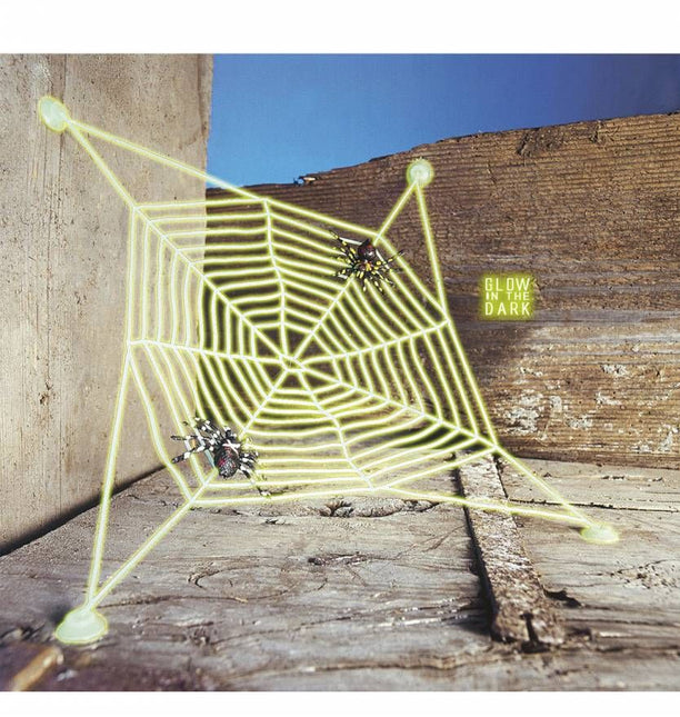 Halloweenaccessoires spinnenweb met 2 spinnen lichtgevend in donker