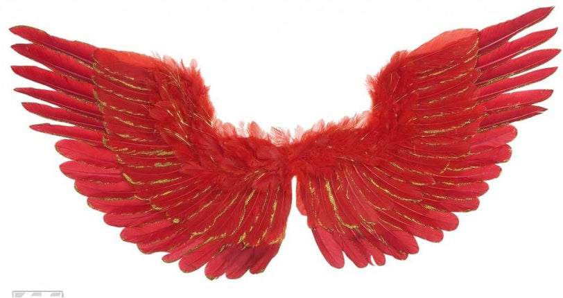 Halloweenaccessoires vleugels rood met zilver glitter 86x42cm