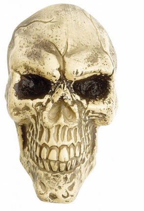 Halloweenaccessoires wanddecoratie schedel