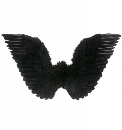 Halloweenaccessoires: Zwarte vleugels
