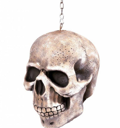 Horroraccessoires: Schedel (20 cm)