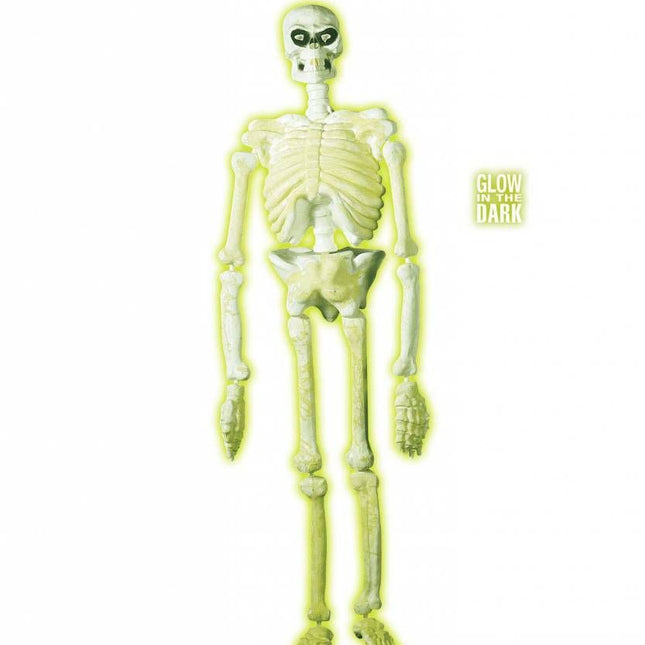 Halloweenaccessoires 3d plastic laboratorium skelet 150cm