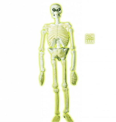 Halloweenaccessoires 3d plastic laboratorium skelet 150cm
