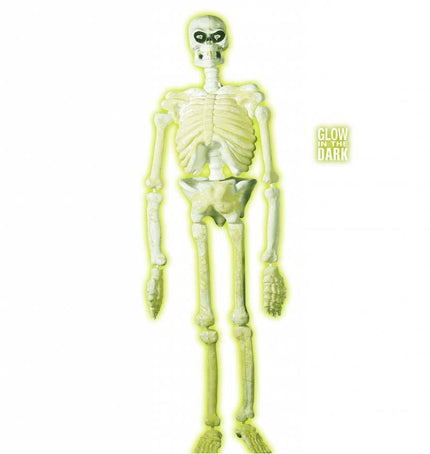 Halloweenaccessoires 3d plastic laboratorium skelet 150cm