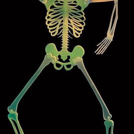 Halloweenaccessoires 3d skelet decoratie met knipperende ogen