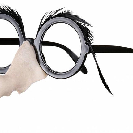Halloweenaccessoires bril met heksenneus en zwarte wenkbrouwen