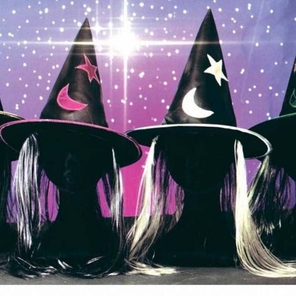 Halloweenaccessoires heksenhoed met haar en decoratie
