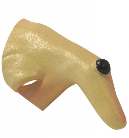 Halloweenaccessoires heksenneus kind
