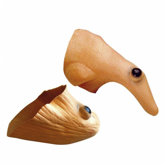 Halloweenaccessoires heksenneus met kin