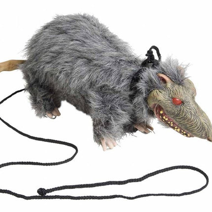Halloweenaccessoires: Laat je rat uit