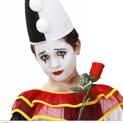 Halloweenaccessoires make-up set zwart en wit
