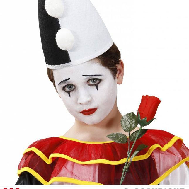 Halloweenaccessoires make-up set zwart en wit