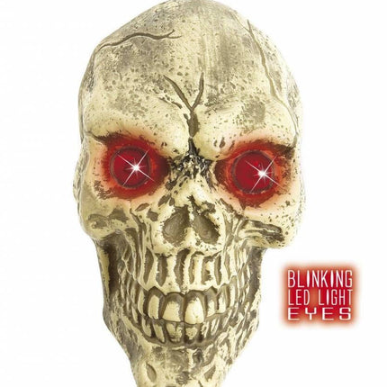 Halloweenaccessoires: Schedel 25 cm