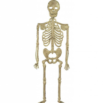Halloweenaccessoires skelet 32cm