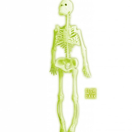 Halloweenaccessoires: Skelet "glow in the dark"