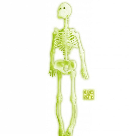 Halloweenaccessoires: Skelet 