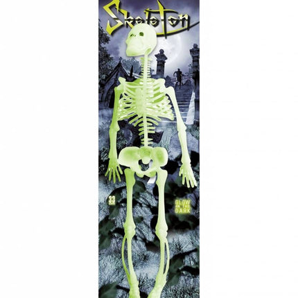 Halloweenaccessoires: Skelet "glow in the dark"