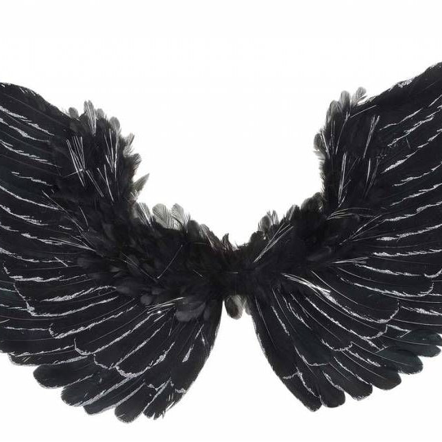 Halloweenaccessoires vleugels zwart met zilver glitter 86x42cm