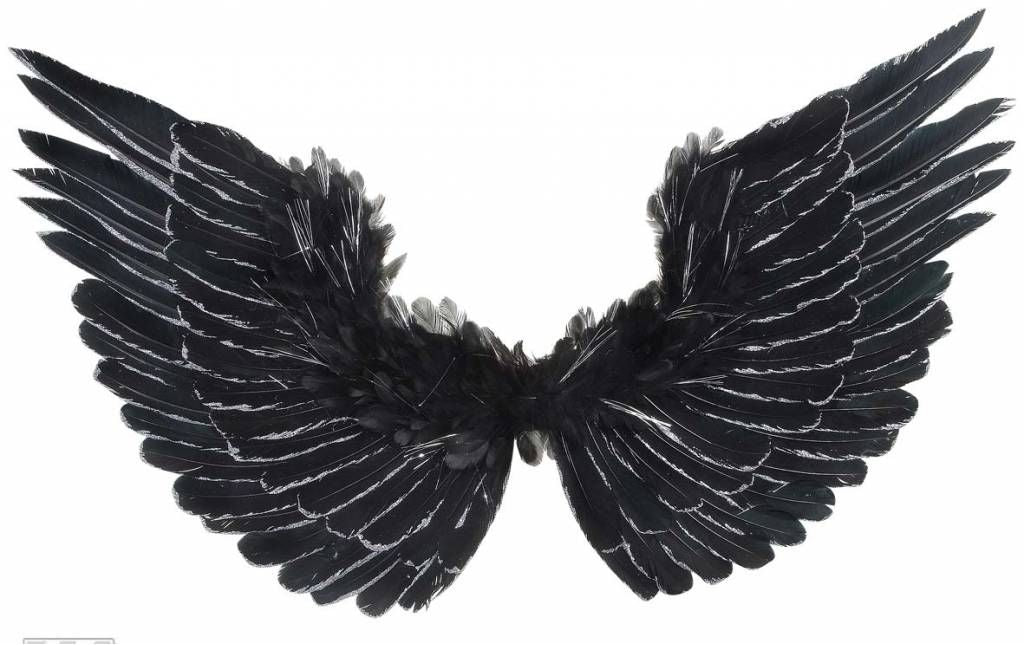 Halloweenaccessoires vleugels zwart met zilver glitter 86x42cm