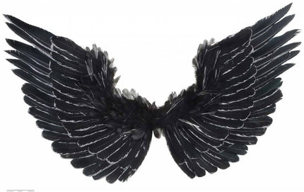 Halloweenaccessoires vleugels zwart met zilver glitter 86x42cm