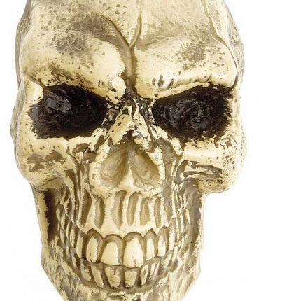Halloweenaccessoires wanddecoratie schedel