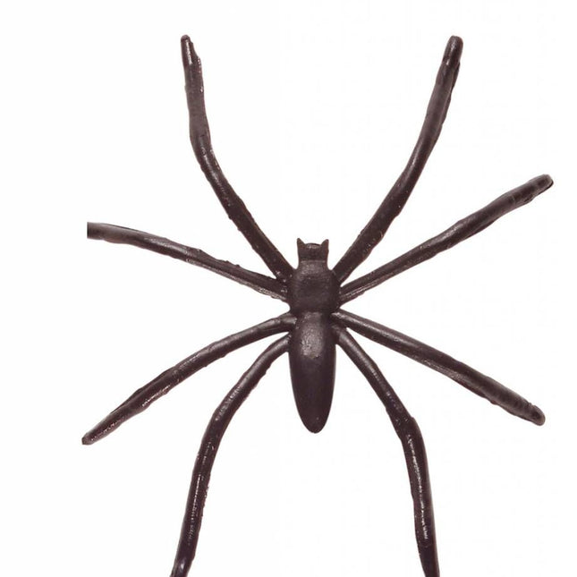 Halloweenaccessoires: Zakje met 50 spinnen