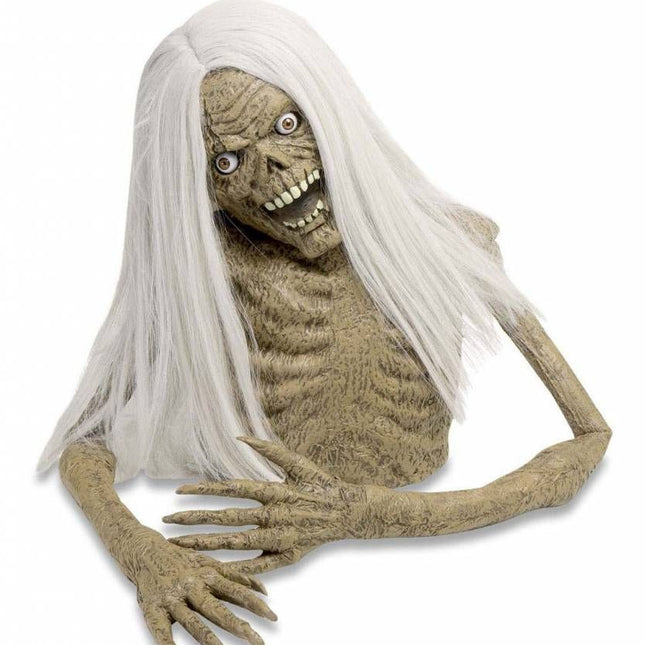 Halloweenartikelen torso van een zombie