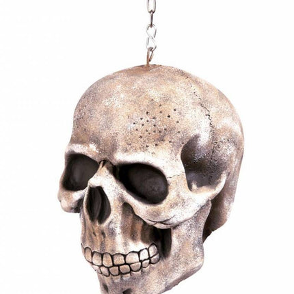 Horroraccessoires: Schedel (20 cm)